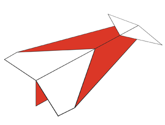 Type of Paper Plane