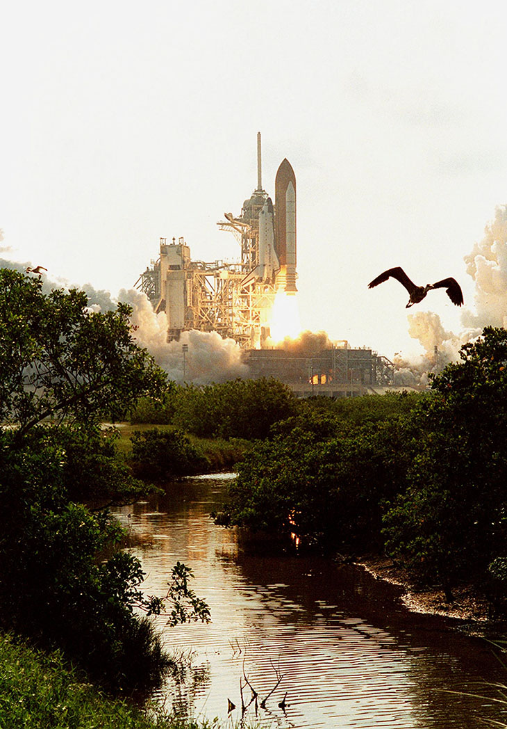 Space shuttle taking off in the distance, with a small stream in the foreground where a bird flies up into the sky.  