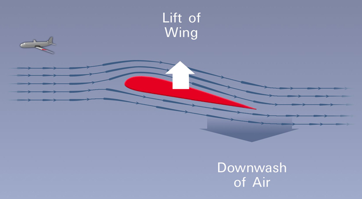 Diagram showing the opposing forces of upward wing lift and downward air wash on a wing.