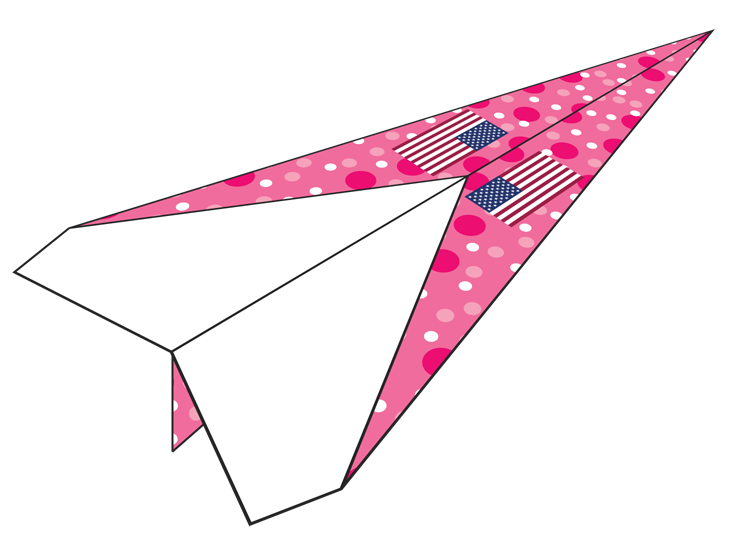 Plane Number 960