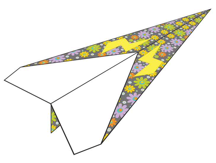 Plane Number 619