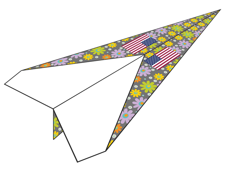 Plane Number 996