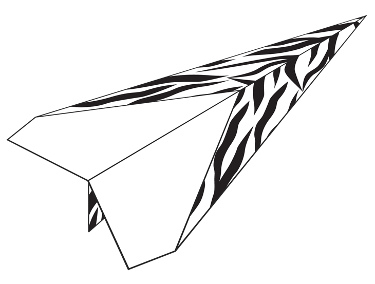 Plane Number 110254