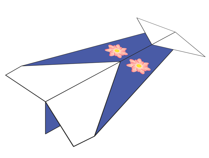 Plane Number 110243