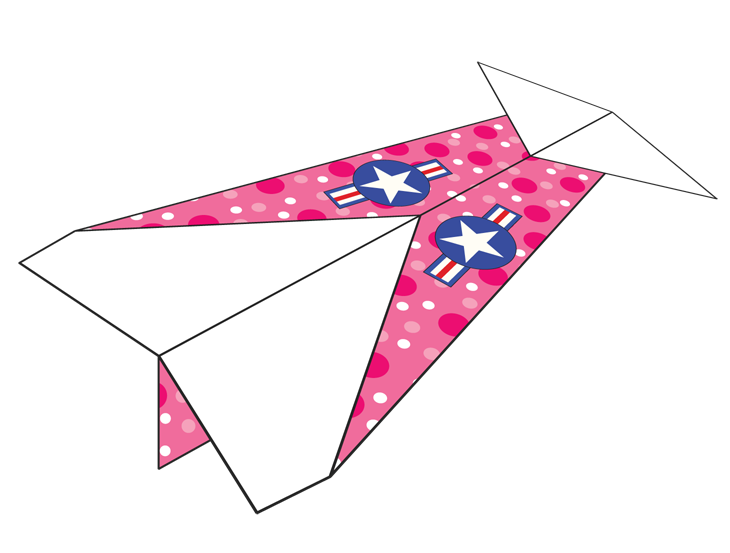 Plane Number 1111