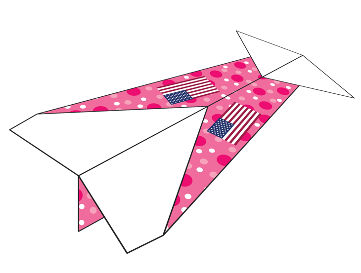 Plane Number 24183