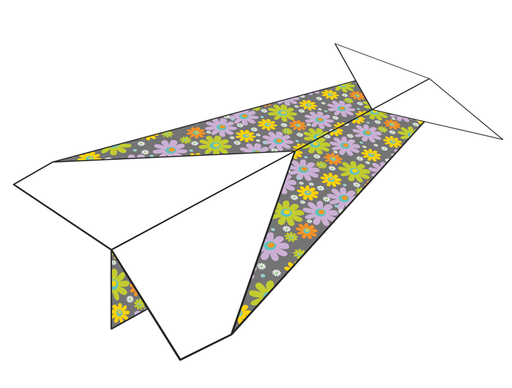 Plane Number 110033