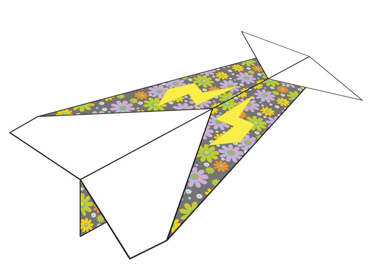 Plane Number 110084