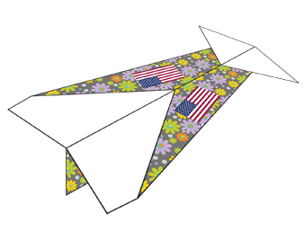 User designed paper airplane in one of three styles