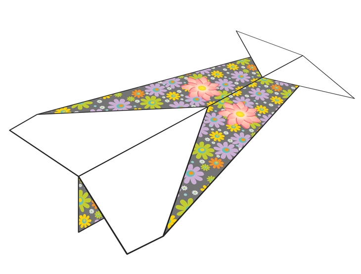 Plane Number 110284
